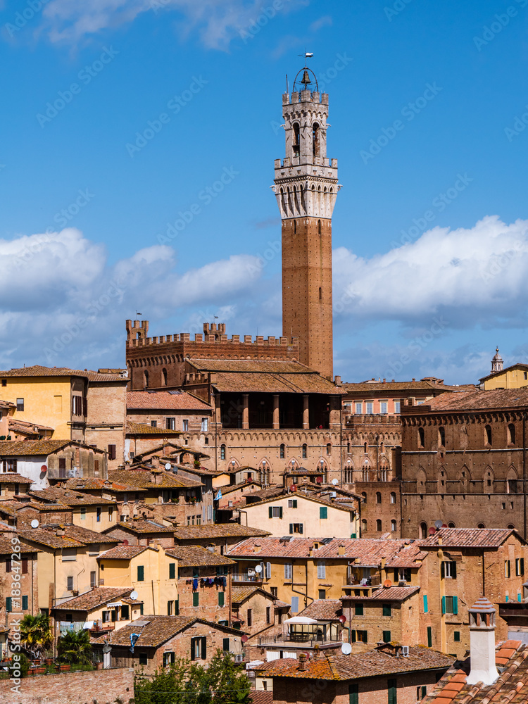 View on the city of Siena