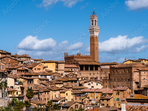 View on the city of Siena