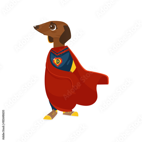 vector cartoon stylized humanized dachshund dog character. Male animal in hero fancy costume standing alone. isolated illustration on a white background.