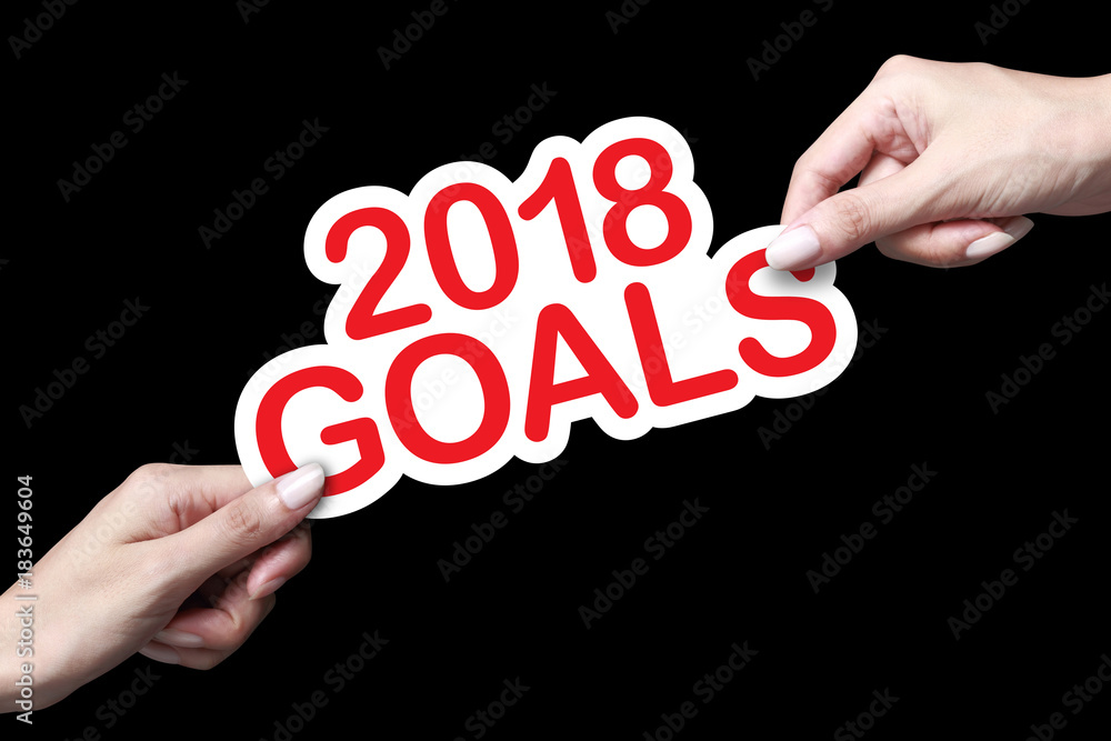 Hand holding 2018 goals.
