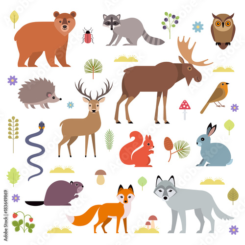 Vector illustration of forest animals  moose  deer  bear  hedgehog  rabbit  squirrel  beaver  wolf  fox  raccoon  owl  grass snake  isolated on white background.