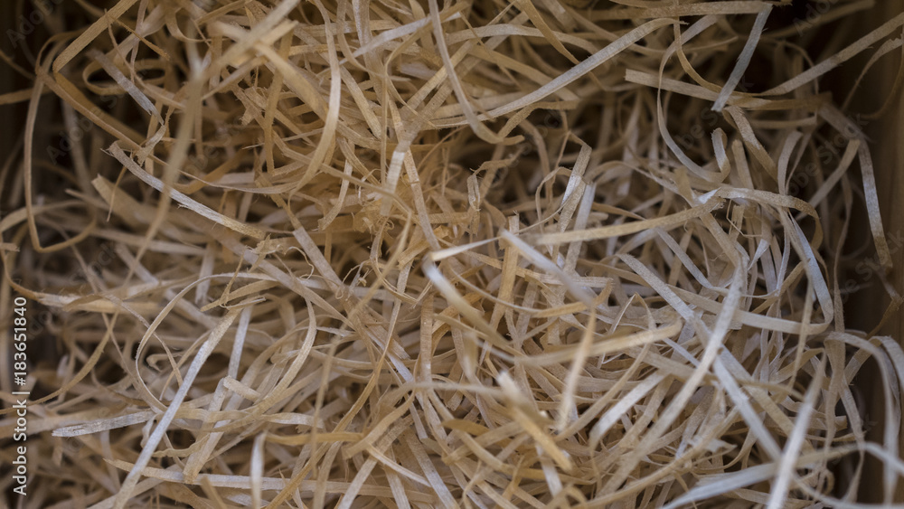 Macro photography of wood shavings Macro photography of wood shavings