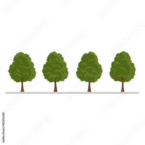 city tree  bush  hedge decoration elements  flat style vector illustration isolated on white background. Collection of green tree  city landscape elements