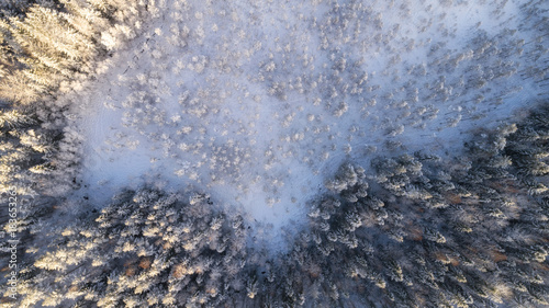 aerial view of winter forest © raland
