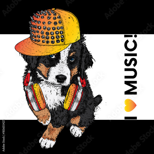 A beautiful dog in a cap and headphones. The Bernese zenenhund. Purebred puppy in clothes and accessories. Vector illustration for a postcard or poster, print on clothes, covers, covers or bags.