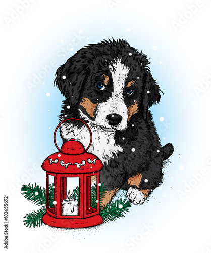 Beautiful puppy with a vintage Christmas lantern. Vector illustration. A pedigree dog in clothes and accessories. New Year's and Christmas. Vintage cups and Christmas balls.
