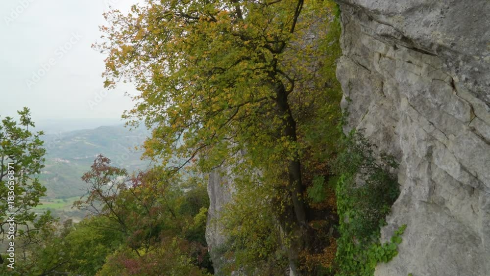 15303_Trees_and_plants_on_the_cliff_of_the_Mount_Titano_in_San_Marino_Italy.mov 15303_Trees_and_plants_on_the_cliff_of_the_Mount_Titano_in_San_Marino_Italy.mov