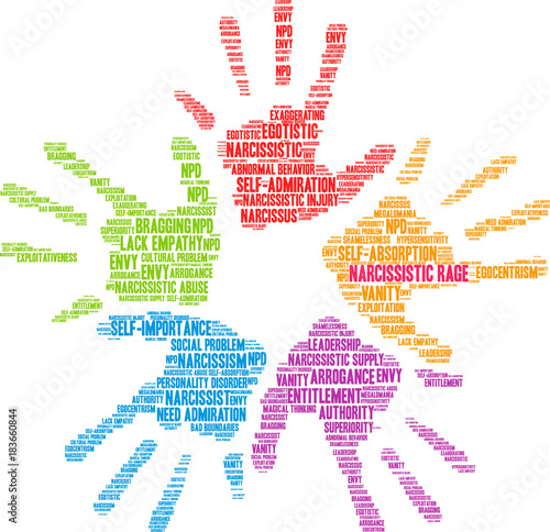 Narcissistic Rage Word Cloud on a white background.