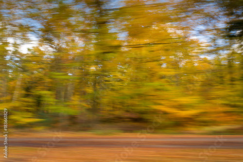 Herbstfärbung photo