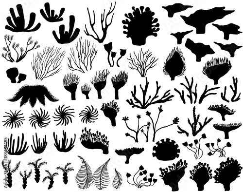 Set of marine life Silhouettes
