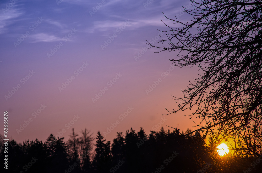 Obraz premium Sonnenuntergang