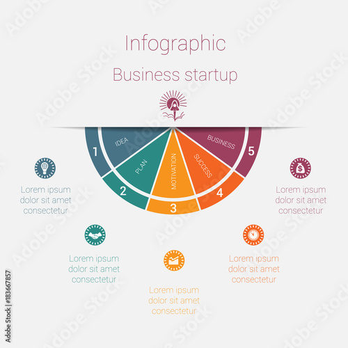 Vector semicircle template infographics startup business concept with 5 parts