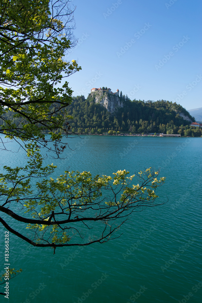 Colorful summer scene in the park of Bled town with medieval castle Blejski grad Colorful summer scene in the park of Bled town with medieval castle Blejski grad