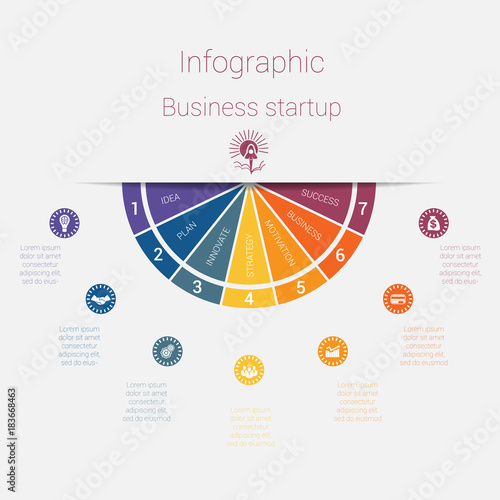 Vector semicircle template infographics startup business concept with 7 parts