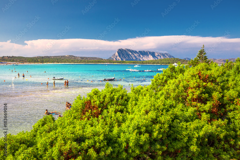 Naklejka premium Lu Impostu beach with Isola Travolara in the background, Sardinia, Italy, Europe