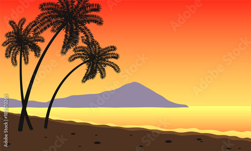 Three palm trees growing on the beach near the sea at sunset