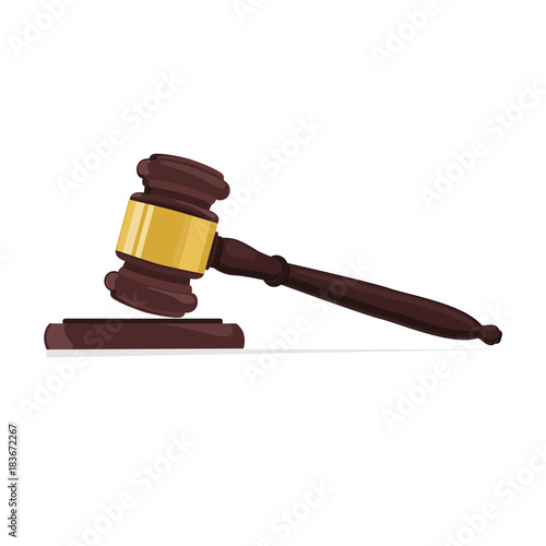 Judge gavel vector