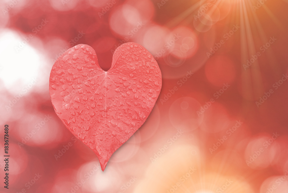 pink heart Leaves on bokeh background