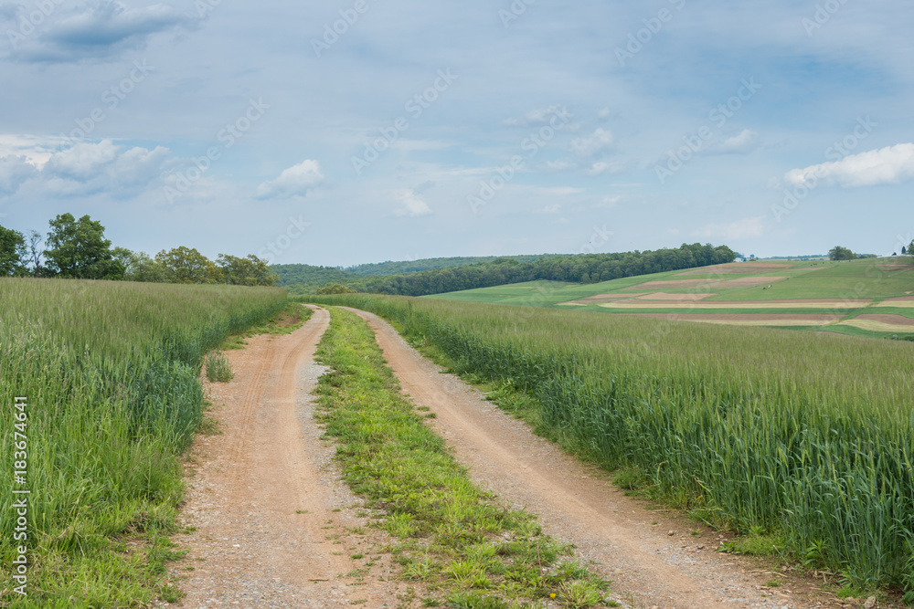 Farmland Surrounding William Kain Park in York County, Pennsylvania