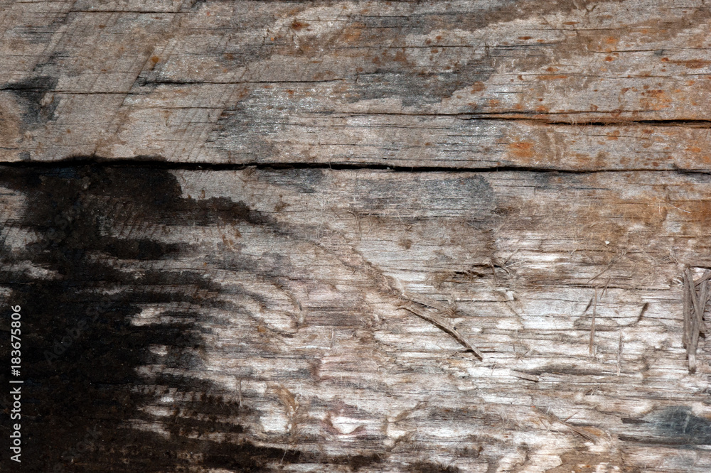 Naklejka premium Front view of old grey wood background or texture. Copy space. Place for text. graphical resource