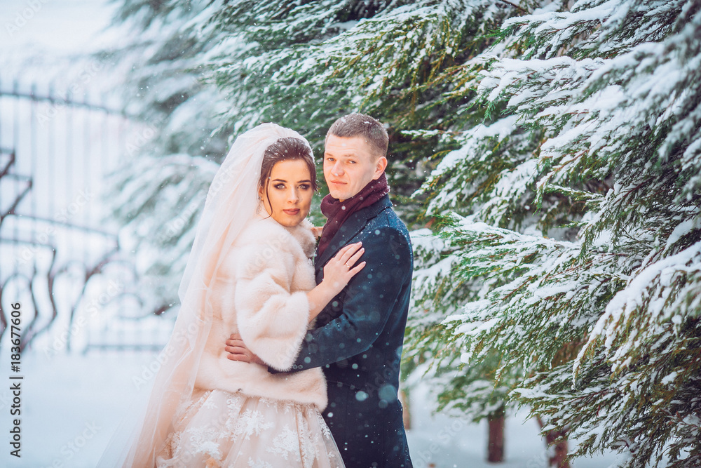 Beautiful wedding couple on their winter wedding. Snow falls on newlyweds.