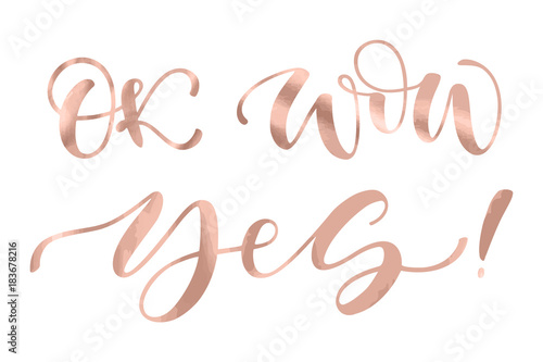 Beautiful fashion greeting card calligraphy metallic rose gold text. Handwritten T-shirt print or paper design. Modern brush lettering white background isolated vector phrase. Wow Ok. Yes