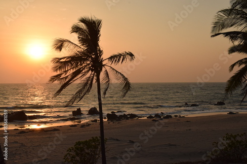 Myanmar - Sunset palm