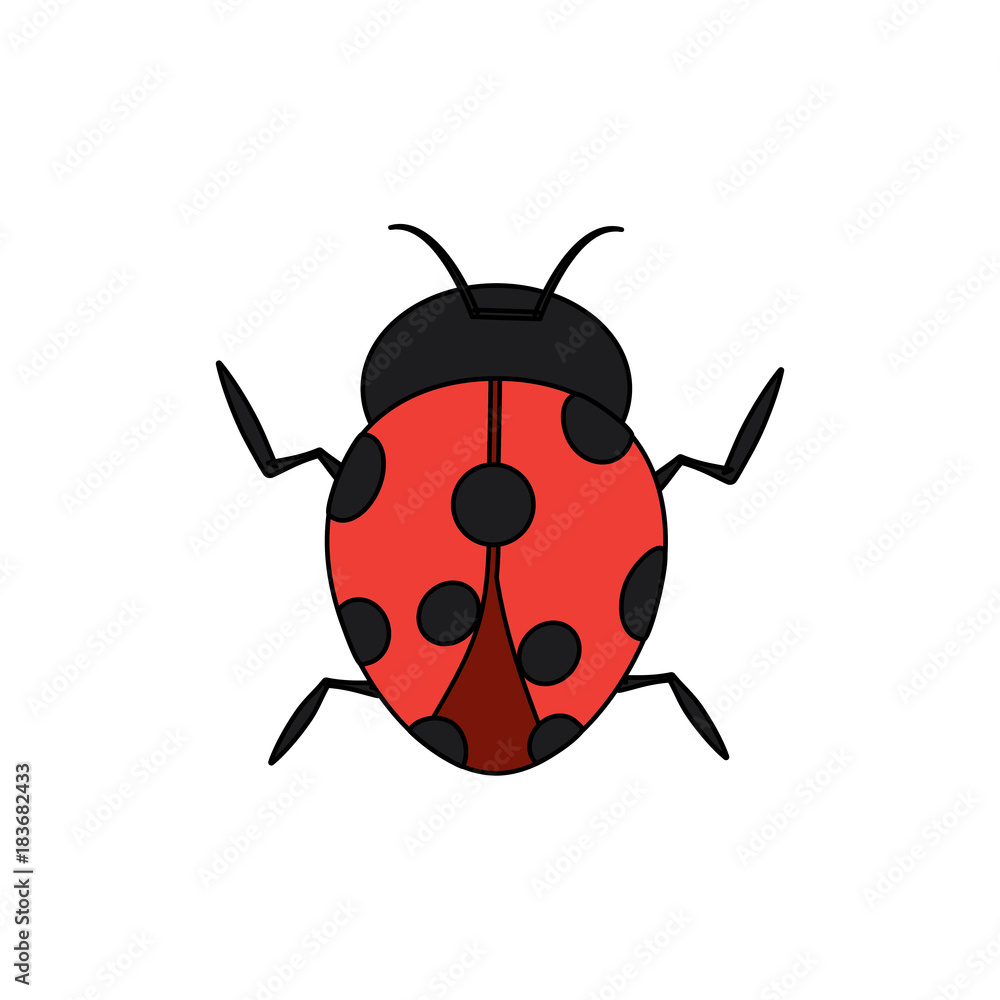 ladybug arthropod insect single icon vector illustration ladybug arthropod insect single icon vector illustration