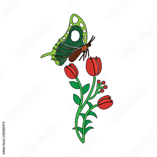 nature blossom branch of red flowers and butterfly vector