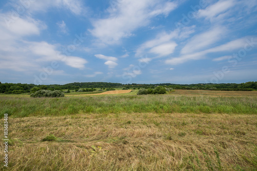 Rural Country York County Pennsylvania Farmland, on a Summer Day