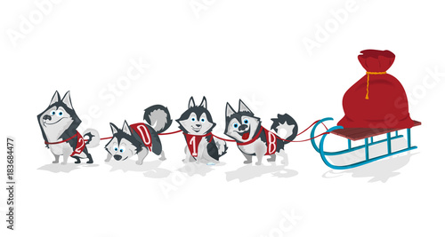 Dogs with numbers 2018 sled team and chrismas bag .