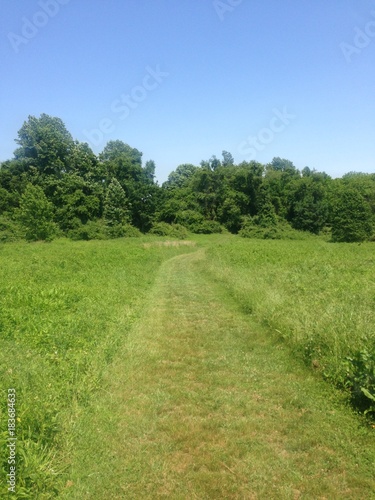 Open Green Trail