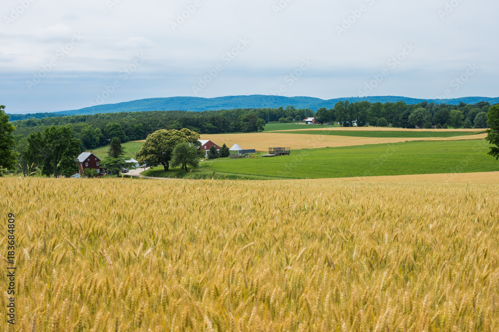 Rural Country York County Pennsylvania Farmland, on a Summer Day Rural Country York County Pennsylvania Farmland, on a Summer Day