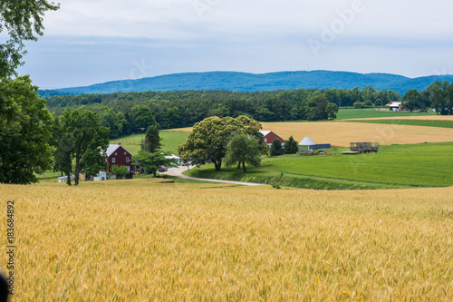 Rural Country York County Pennsylvania Farmland, on a Summer Day photo