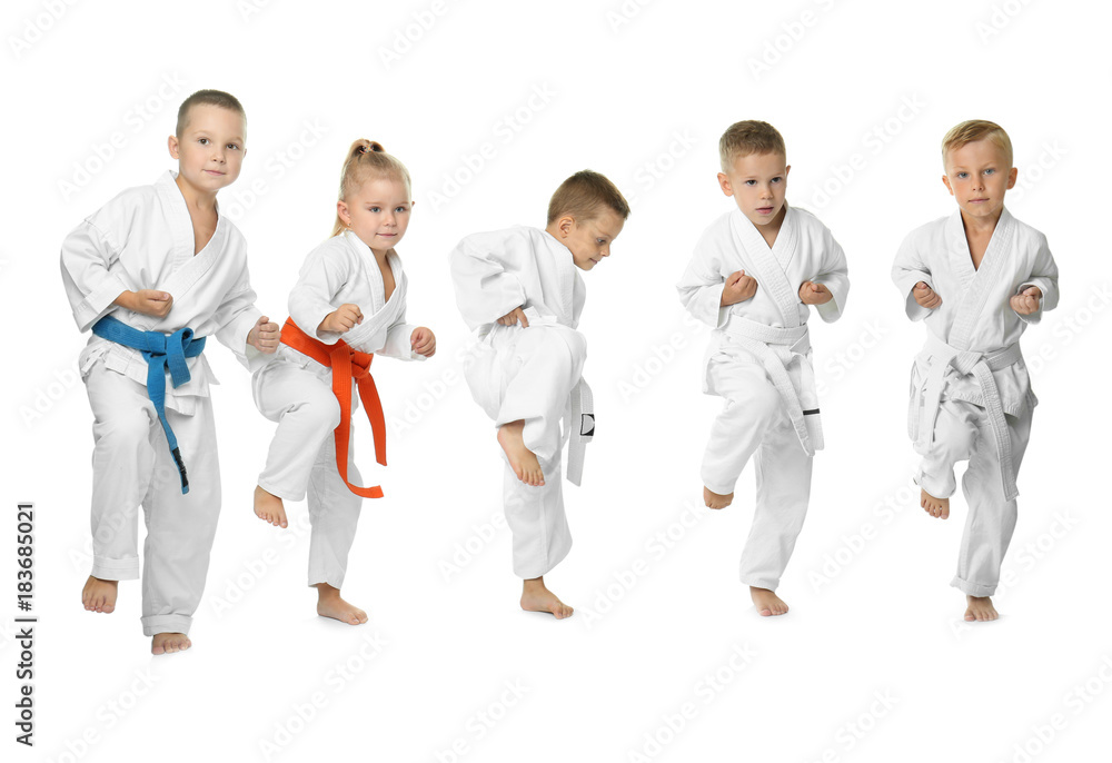 Little children practicing karate on white background Little children practicing karate on white background