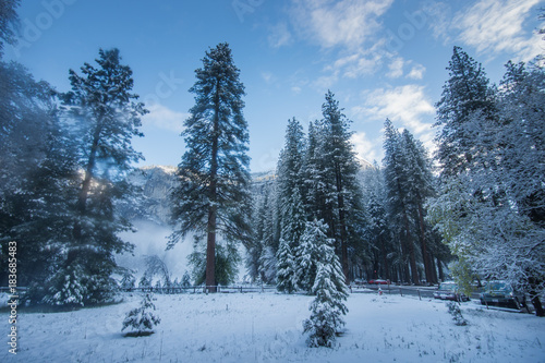 Snowy Yosemite Valley Forest, Yosemite National Park, California, Near Campground in April © SGUOPHOTOGRAPHY