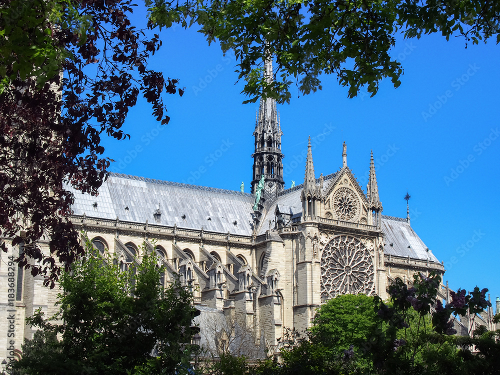 View through branches of trees of the Cathedral of Notre Dame de Paris