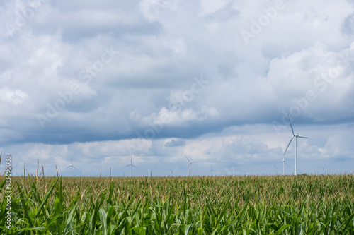 Wind Mills in a Rural area of Indiana off of route sixity five