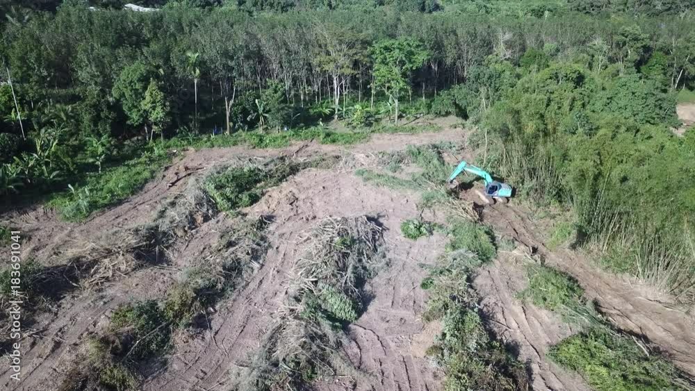 Deforestation. Logging, environmental destruction of rainforest Deforestation. Logging, environmental destruction of rainforest