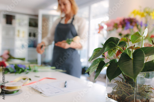 Small plant with female florist working at flower shop