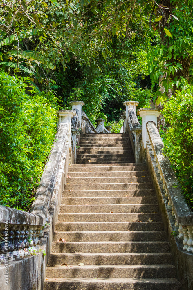 Stairway steps up in nature