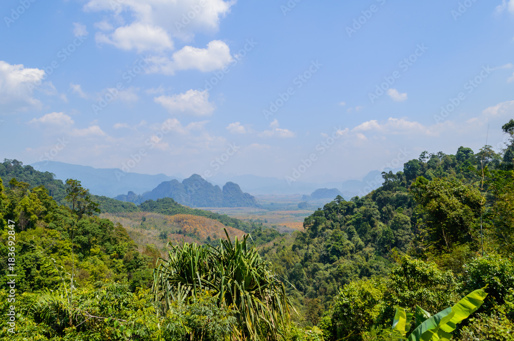 Forest landscape at Khao Yai national park, Thailand