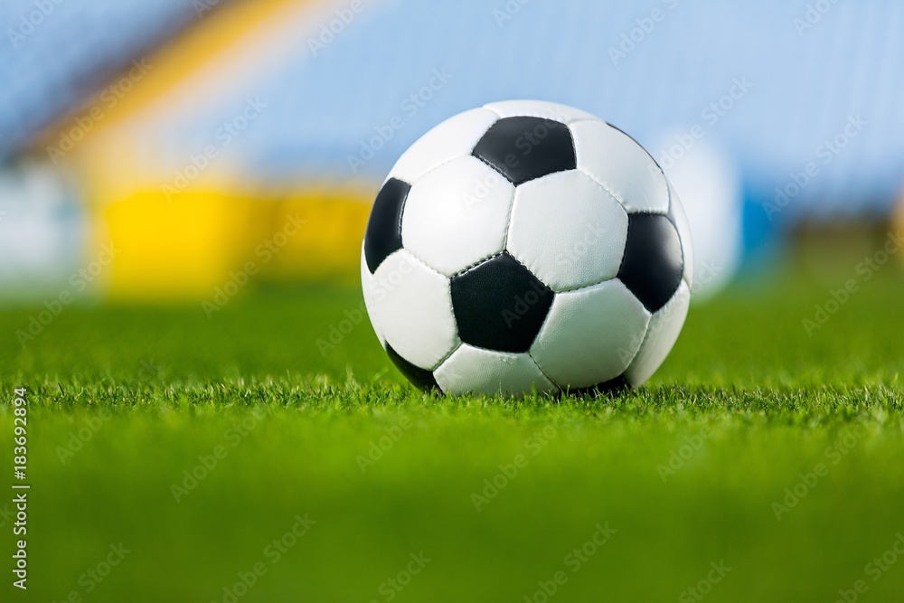 Fototapeta premium Soccer Ball on Grass