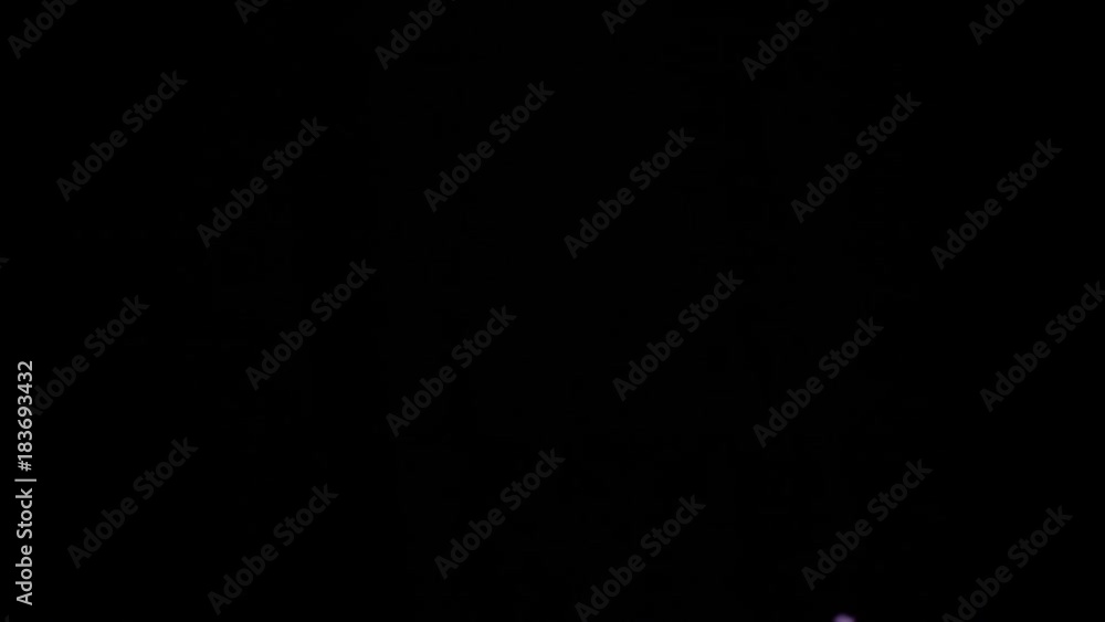 Falling cuts of red cabbage, slow motion Falling cuts of red cabbage, slow motion