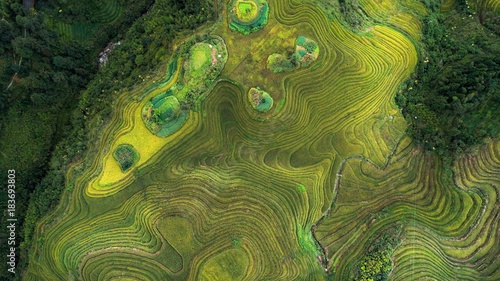 Longji rice terraces, Guangxi province, China photo