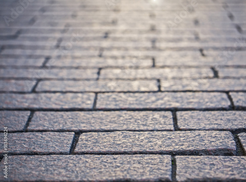Textured background of a grey pavement stone