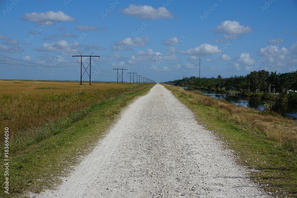 Florida Everglades 