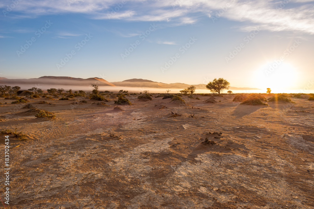 Sand dunes in the Namib desert at dawn, roadtrip in the wonderful Namib Naukluft National Park, travel destination in Namibia, Africa. Morning light, mist and fog.