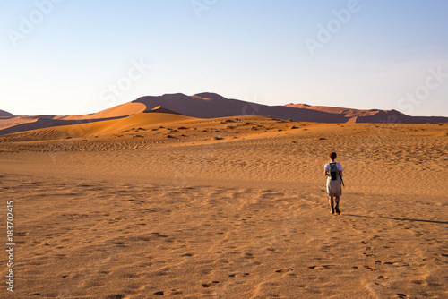 Tourist walking on the scenic dunes of Sossusvlei  Namib desert  Namib Naukluft National Park  Namibia. Adventure and exploration in Africa.