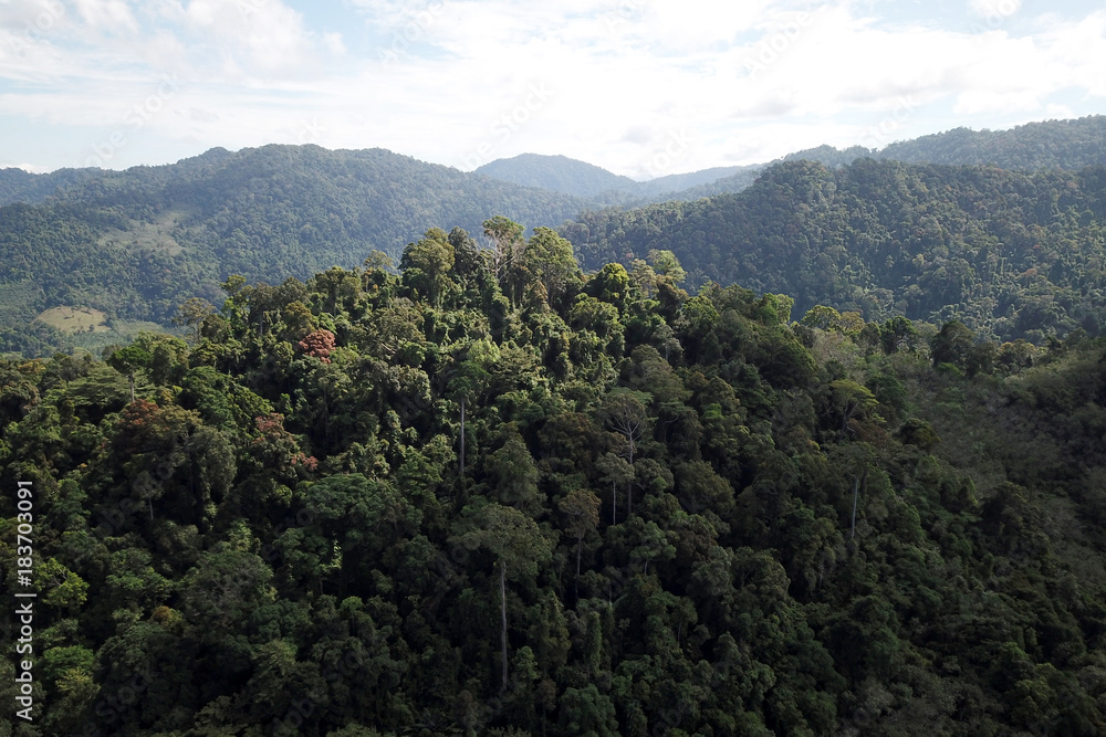 Rainforest mountain aerial landscape